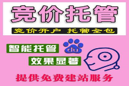 某电商平台的sem账户托管全流程解析